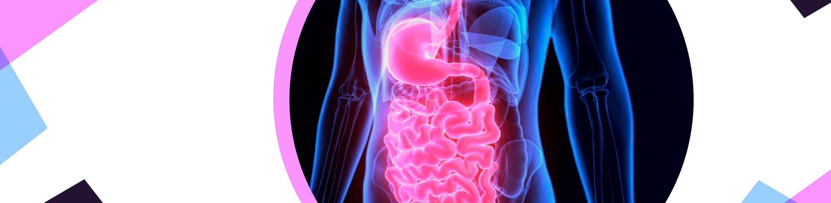 Curso Anual Gastro 2023