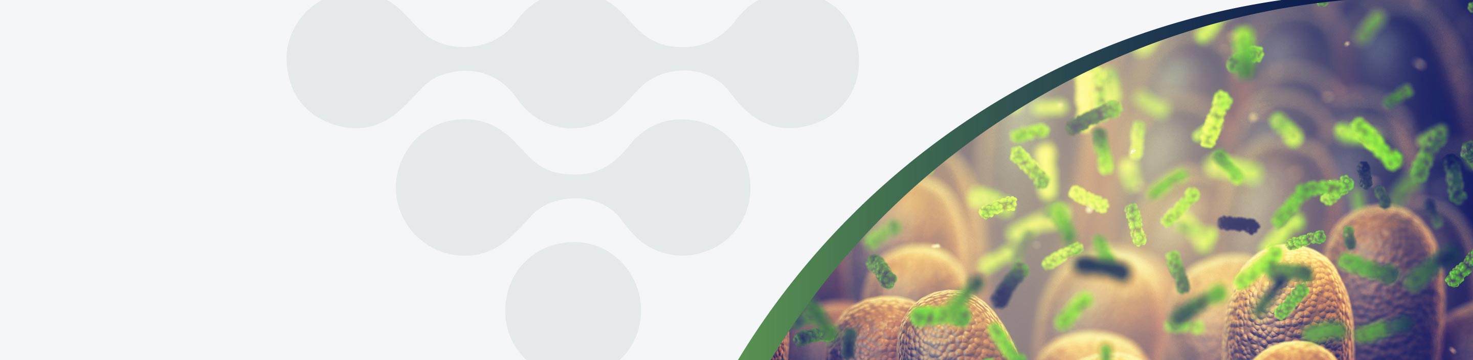 2o Summit 2024 Microbiota