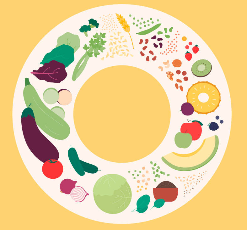 Generalidades de fibras