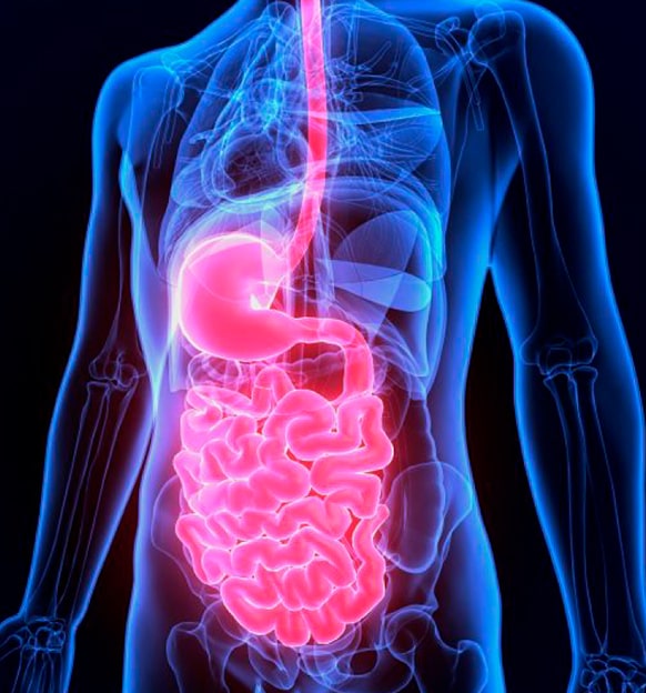 Curso Anual Gastro 2023