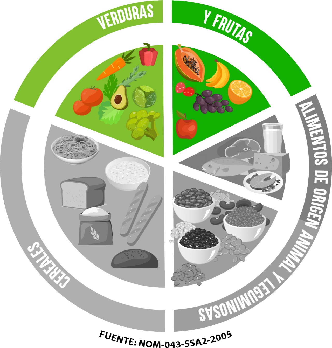 El plato del bien comer