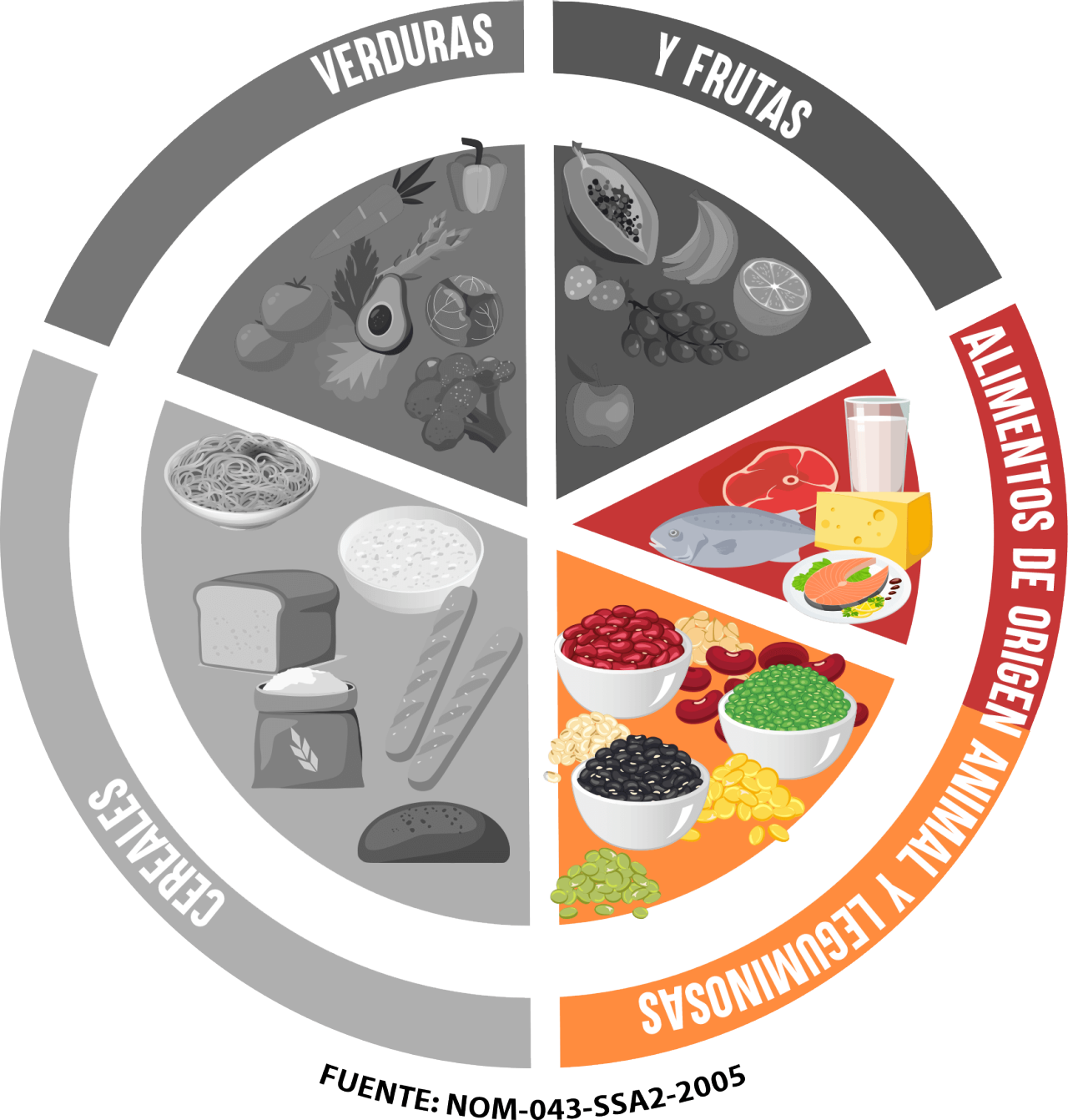 El plato del bien comer