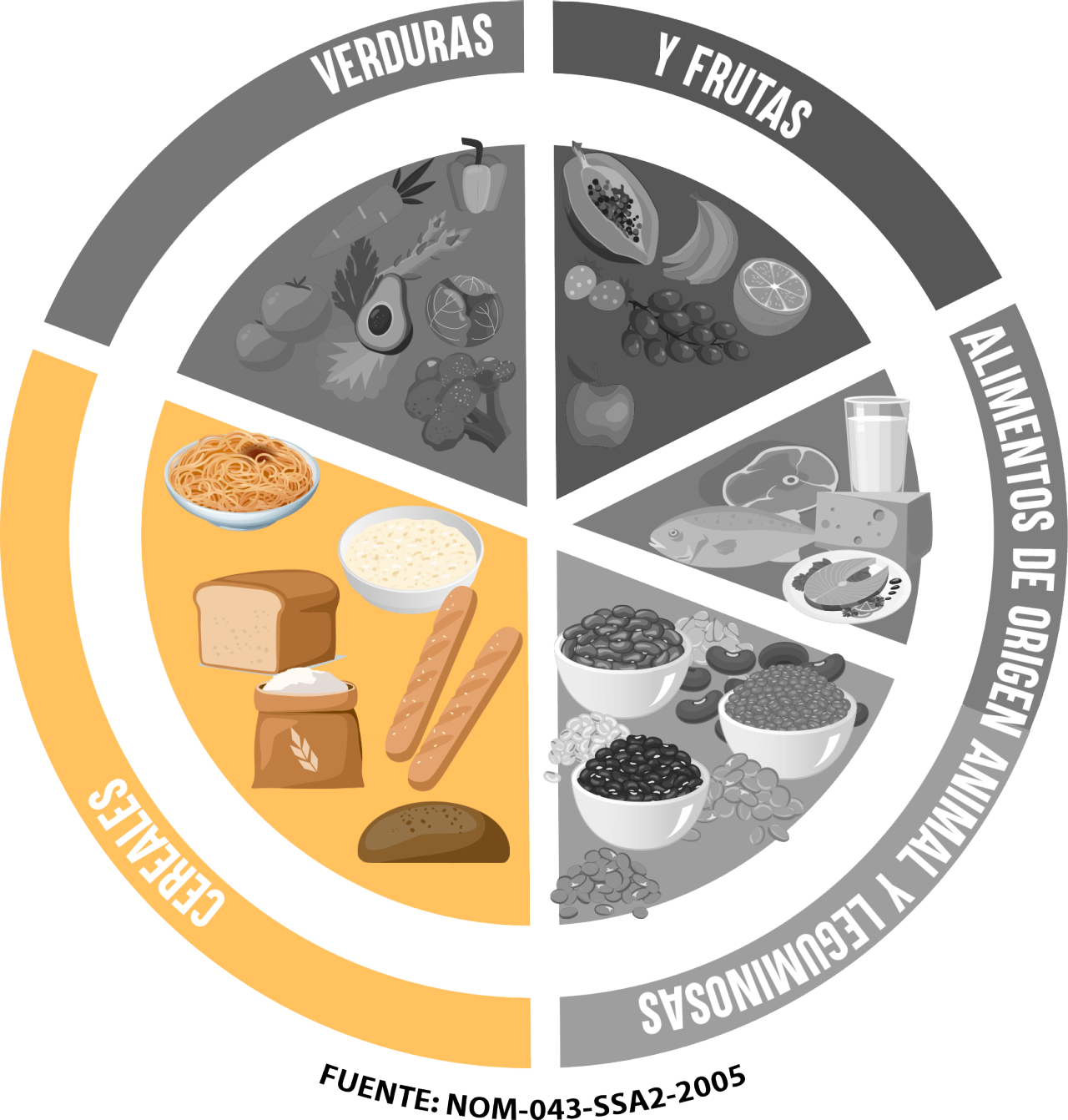 El plato del bien comer