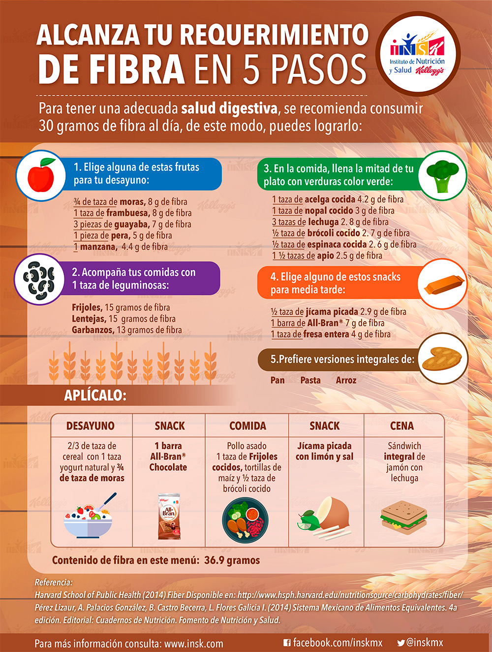 Alcanza tu requerimiento de fibra