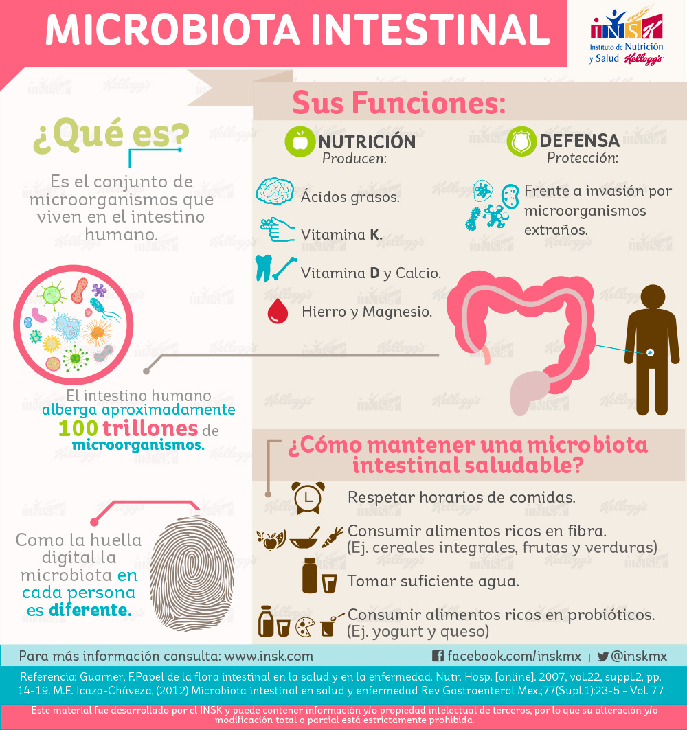 Microbiota intestinal 
