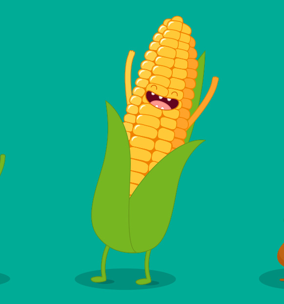 Manual de uso de especias