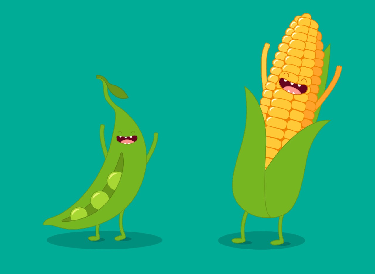 Prepara leguminosas en 4 pasos